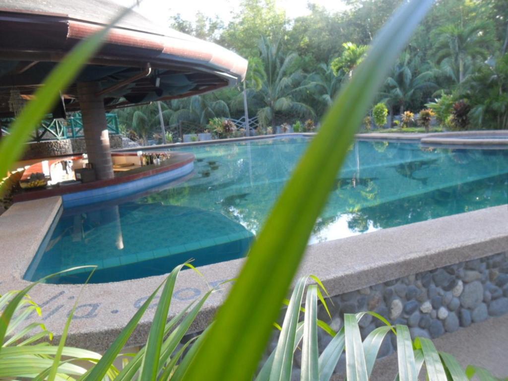 Aqua-Landia Resort Dauin Kültér fotó