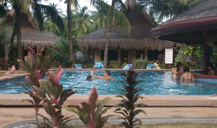 Aqua-Landia Resort Dauin Kültér fotó